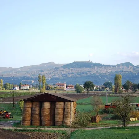 Апартаменты - Casa Kennedy *